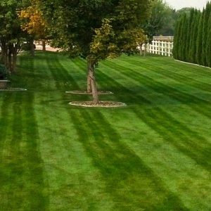 Lawn mowing in Boise, Idaho.