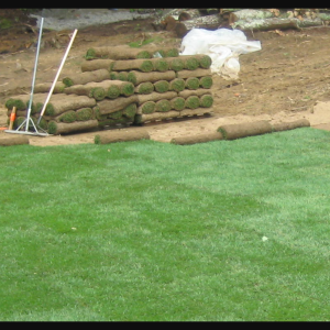 Laying sod in Nampa, Idaho