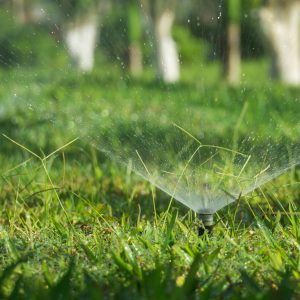 Boise, Idaho sprinkler care and installation.